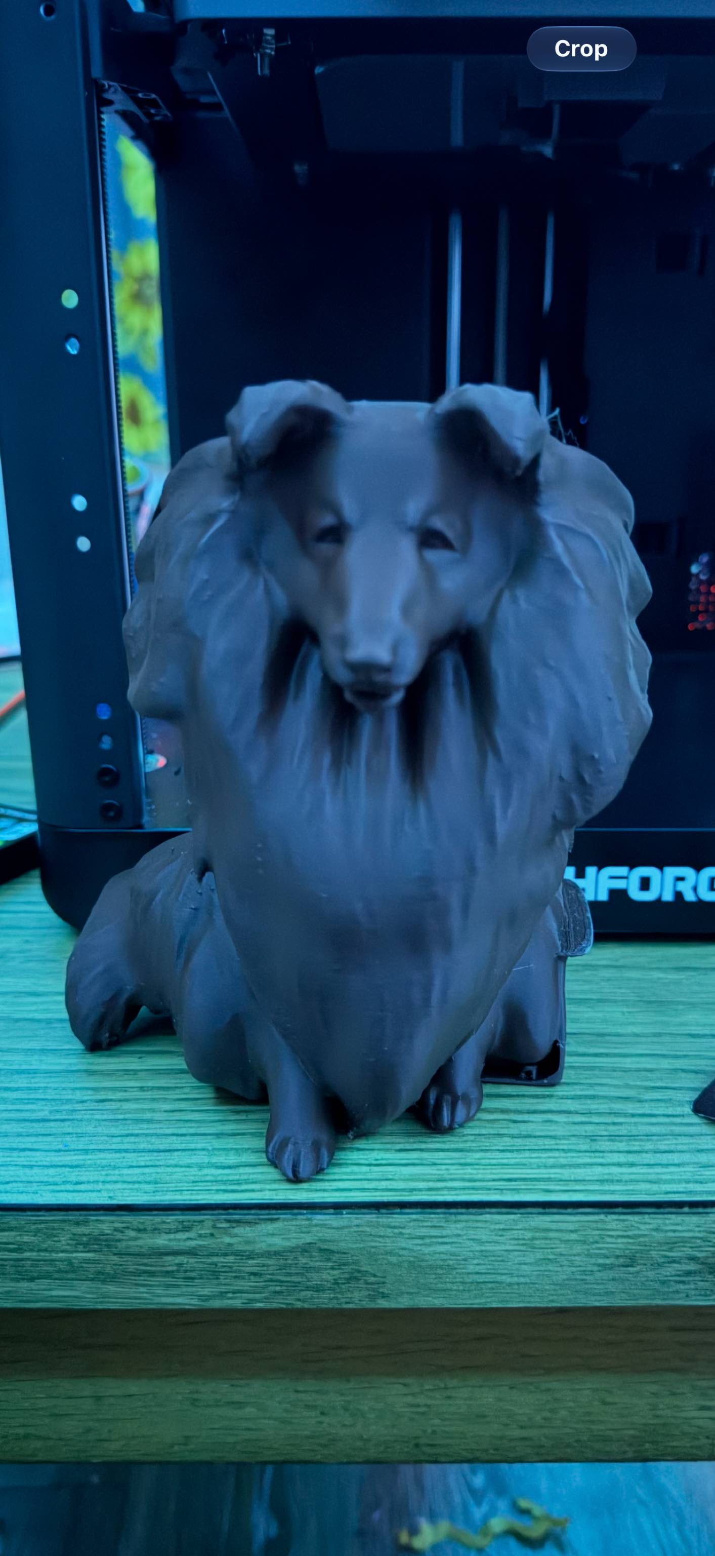 Custom Ordered Dog 3D Printed Dog Portrait for Sheltie Show Dog πΎ β made by Dominic Hartenstein (Buffalo 3D Printing)